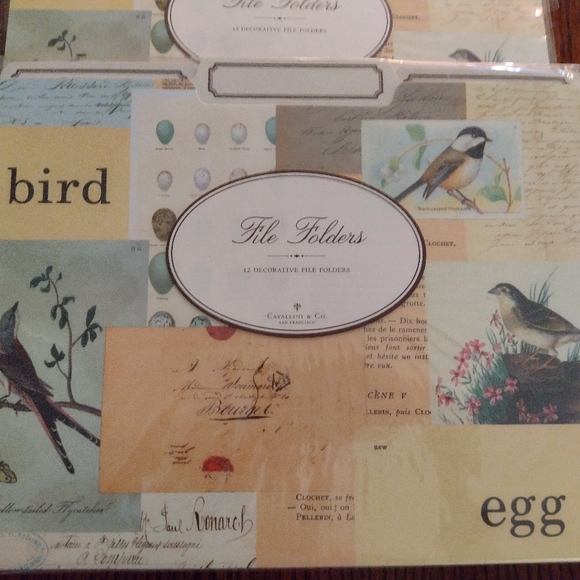 File Folders: bird print - Picture 2 of 11